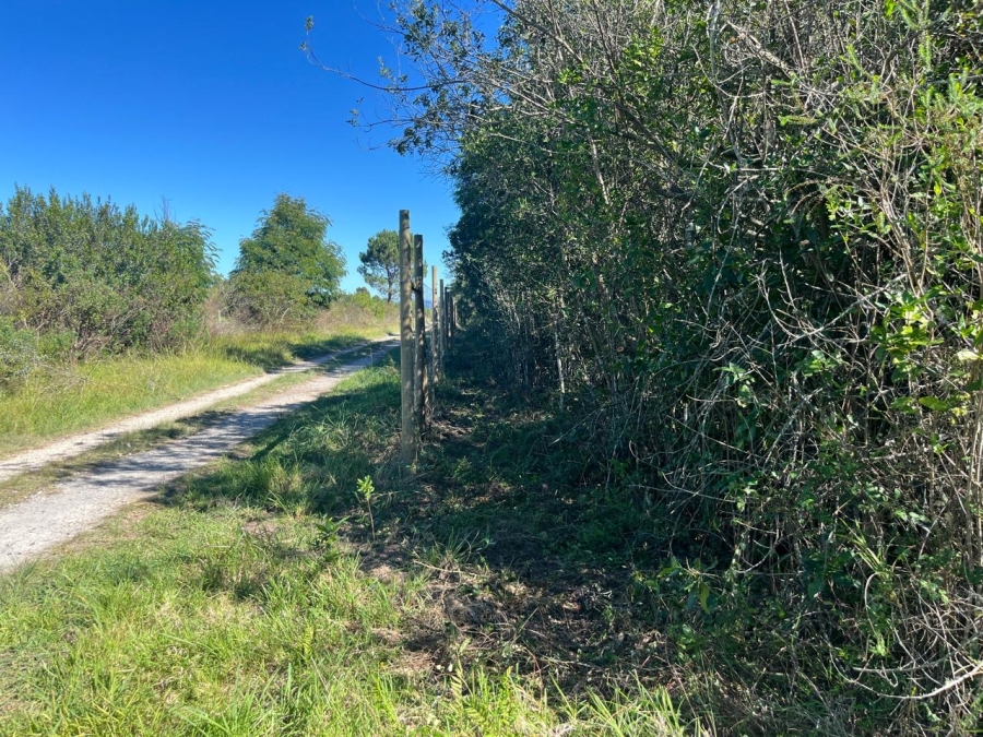 0 Bedroom Property for Sale in The Crags Western Cape